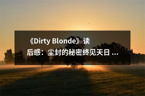 《Dirty Blonde》讀后感：塵封的秘密終見天日 (900字)