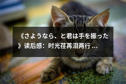 《さようなら、と君は手を振った》讀后感：時光荏苒淚兩行 (800字)