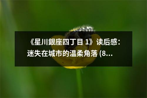 《星川銀座四丁目 1》讀后感：迷失在城市的溫柔角落 (800字)