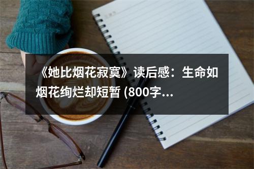 《她比煙花寂寞》讀后感：生命如煙花絢爛卻短暫 (800字)