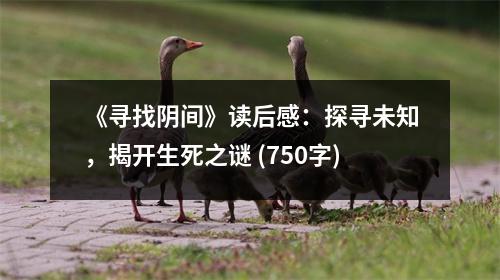 《尋找陰間》讀后感：探尋未知，揭開生死之謎 (750字)