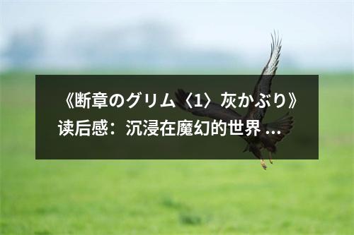 《斷章のグリム〈1〉灰かぶり》讀后感：沉浸在魔幻的世界 (650字)