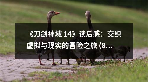《刀劍神域 14》讀后感：交織虛擬與現(xiàn)實的冒險之旅 (800字)