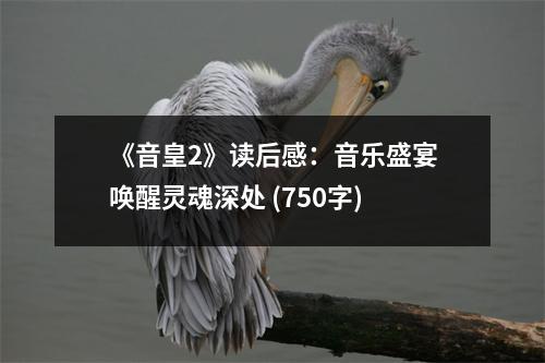 《音皇2》讀后感：音樂盛宴喚醒靈魂深處 (750字)