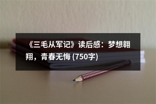 《三毛從軍記》讀后感：夢想翱翔，青春無悔 (750字)