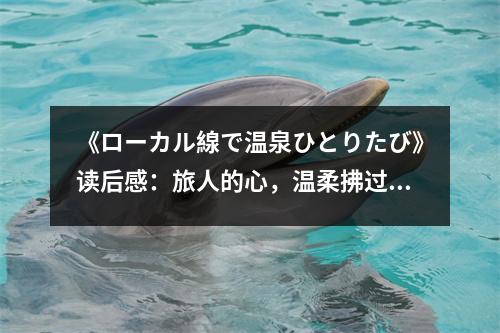 《ローカル線で溫泉ひとりたび》讀后感：旅人的心，溫柔拂過每一個角落 (850字)