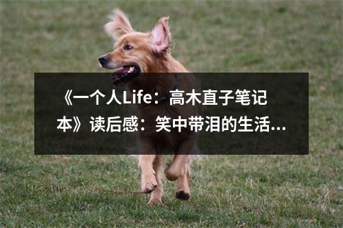 《一個人Life：高木直子筆記本》讀后感：笑中帶淚的生活記事 (750字)
