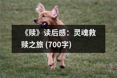 《贖》讀后感：靈魂救贖之旅 (700字)