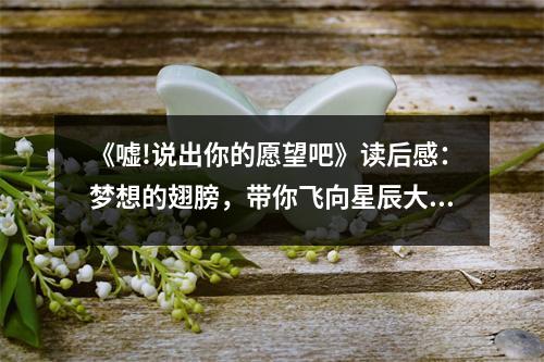 《噓!說(shuō)出你的愿望吧》讀后感：夢(mèng)想的翅膀，帶你飛向星辰大海 (800字)