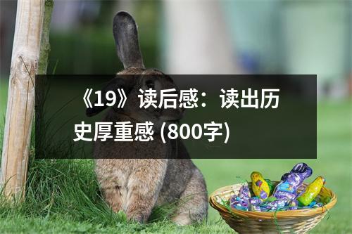 《19》讀后感：讀出歷史厚重感 (800字)