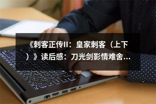 《刺客正傳II：皇家刺客（上下）》讀后感：刀光劍影情難舍 (850字)