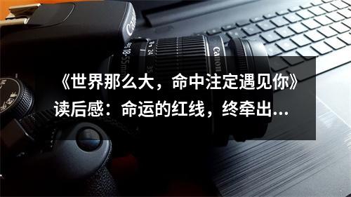 《世界那么大，命中注定遇見你》讀后感：命運的紅線，終牽出一段緣 (650字)