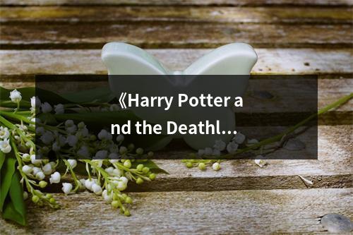 《Harry Potter and the Deathly Hallows》讀后感：與哈利共赴黑暗之旅 (700字)