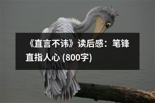 《直言不諱》讀后感：筆鋒直指人心 (800字)