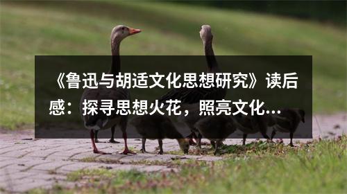 《魯迅與胡適文化思想研究》讀后感：探尋思想火花，照亮文化星空 (850字)