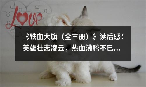《鐵血大旗（全三冊(cè)）》讀后感：英雄壯志凌云，熱血沸騰不已 (800字)