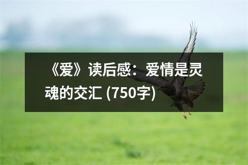 《愛》讀后感：愛情是靈魂的交匯 (750字)