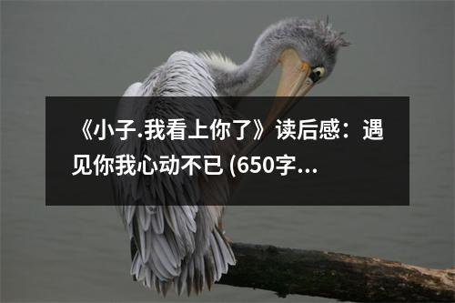 《小子.我看上你了》讀后感：遇見你我心動不已 (650字)