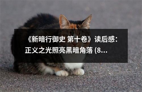 《新暗行御史 第十卷》讀后感：正義之光照亮黑暗角落 (850字)