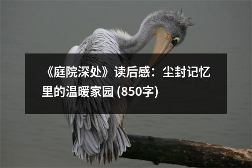 《庭院深處》讀后感：塵封記憶里的溫暖家園 (850字)