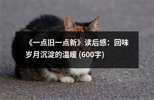 《一點(diǎn)舊一點(diǎn)新》讀后感：回味歲月沉淀的溫暖 (600字)