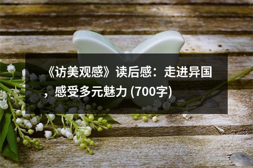 《訪美觀感》讀后感：走進異國，感受多元魅力 (700字)