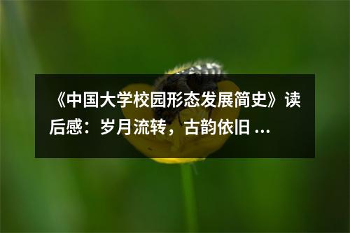 《中國大學(xué)校園形態(tài)發(fā)展簡史》讀后感：歲月流轉(zhuǎn)，古韻依舊 (850字)