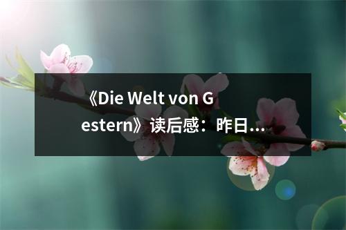 《Die Welt von Gestern》讀后感：昨日世界余韻悠長 (650字)