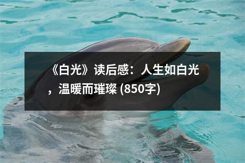 《白光》讀后感：人生如白光，溫暖而璀璨 (850字)