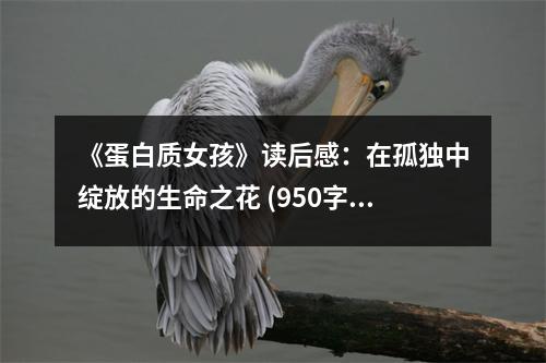 《蛋白質(zhì)女孩》讀后感：在孤獨(dú)中綻放的生命之花 (950字)
