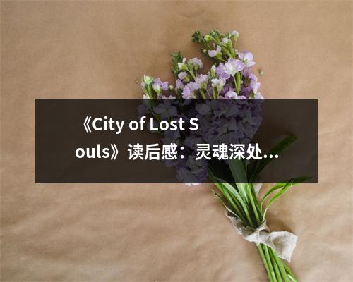《City of Lost Souls》讀后感：靈魂深處尋回失落自我 (800字)