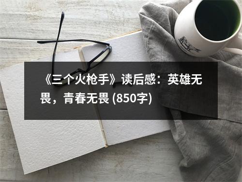 《三個火槍手》讀后感：英雄無畏，青春無畏 (850字)
