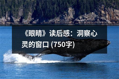 《眼睛》讀后感：洞察心靈的窗口 (750字)