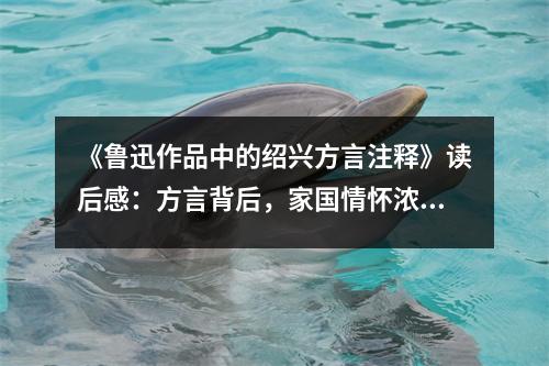 《魯迅作品中的紹興方言注釋》讀后感：方言背后，家國(guó)情懷濃如酒 (1150字)