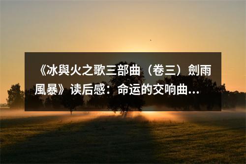 《冰與火之歌三部曲（卷三）劍雨風(fēng)暴》讀后感：命運(yùn)的交響曲 (900字)