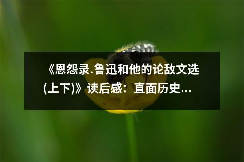 《恩怨錄.魯迅和他的論敵文選 (上下)》讀后感：直面歷史，探尋靈魂深處的人性光輝 (800字)