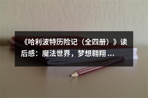 《哈利波特歷險(xiǎn)記（全四冊(cè)）》讀后感：魔法世界，夢(mèng)想翱翔 (800字)