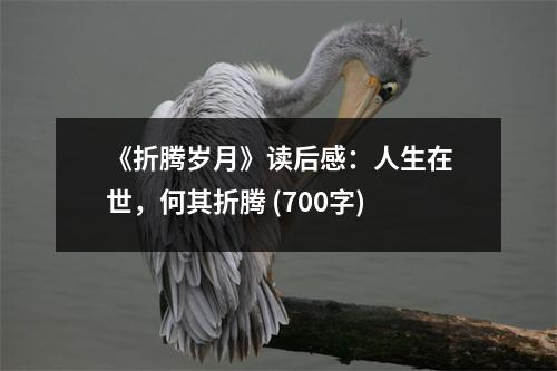 《折騰歲月》讀后感：人生在世，何其折騰 (700字)