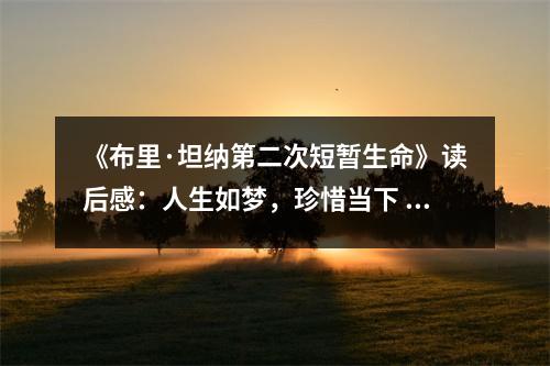《布里·坦納第二次短暫生命》讀后感：人生如夢，珍惜當(dāng)下 (750字)