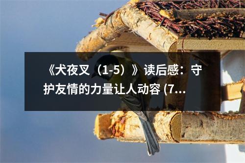 《犬夜叉（1-5）》讀后感：守護友情的力量讓人動容 (700字)