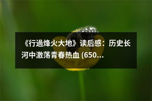 《行過烽火大地》讀后感：歷史長河中激蕩青春熱血 (650字)