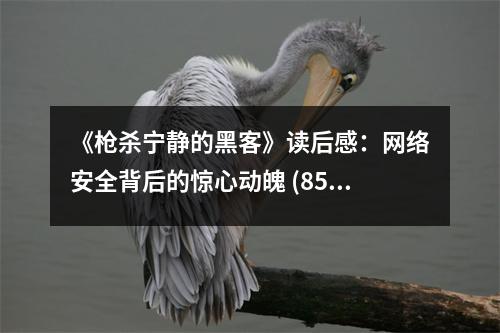 《槍殺寧靜的黑客》讀后感：網(wǎng)絡(luò)安全背后的驚心動魄 (850字)