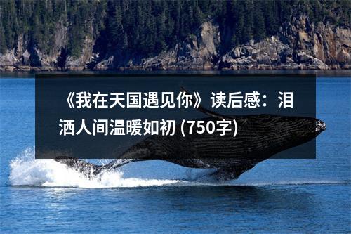 《我在天國遇見你》讀后感：淚灑人間溫暖如初 (750字)