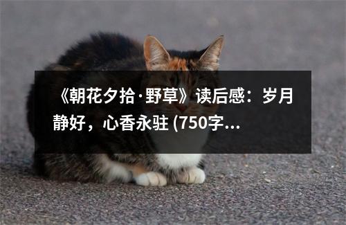 《朝花夕拾·野草》讀后感：歲月靜好，心香永駐 (750字)