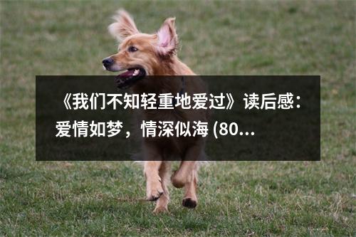 《我們不知輕重地愛過》讀后感：愛情如夢，情深似海 (800字)