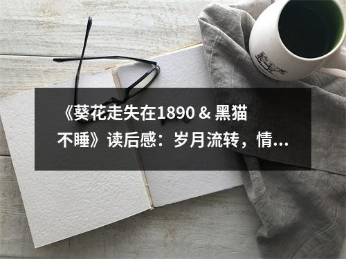 《葵花走失在1890 & 黑貓不睡》讀后感：歲月流轉(zhuǎn)，情感依舊 (700字)