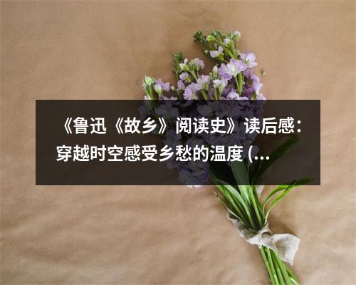 《魯迅《故鄉(xiāng)》閱讀史》讀后感：穿越時空感受鄉(xiāng)愁的溫度 (750字)
