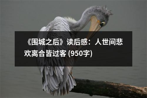 《圍城之后》讀后感：人世間悲歡離合皆過客 (950字)