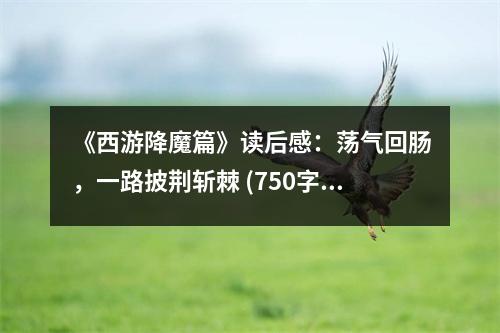 《西游降魔篇》讀后感：蕩氣回腸，一路披荊斬棘 (750字)