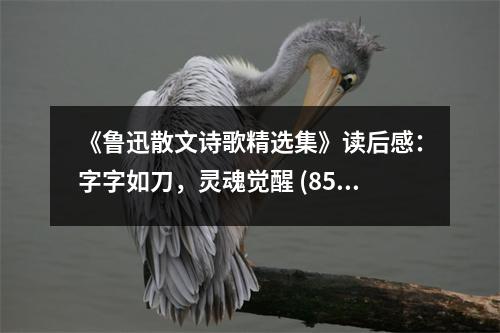 《魯迅散文詩歌精選集》讀后感：字字如刀，靈魂覺醒 (850字)